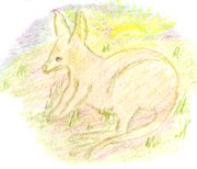 Hoppy