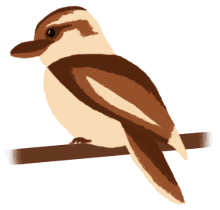 Kookaburra